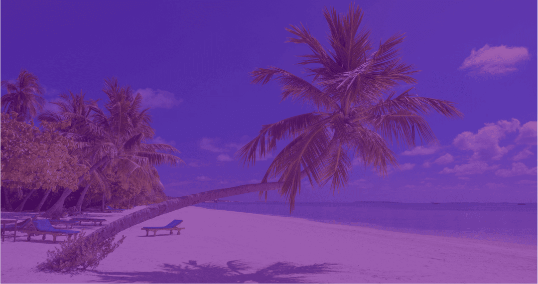 Trees at the beach