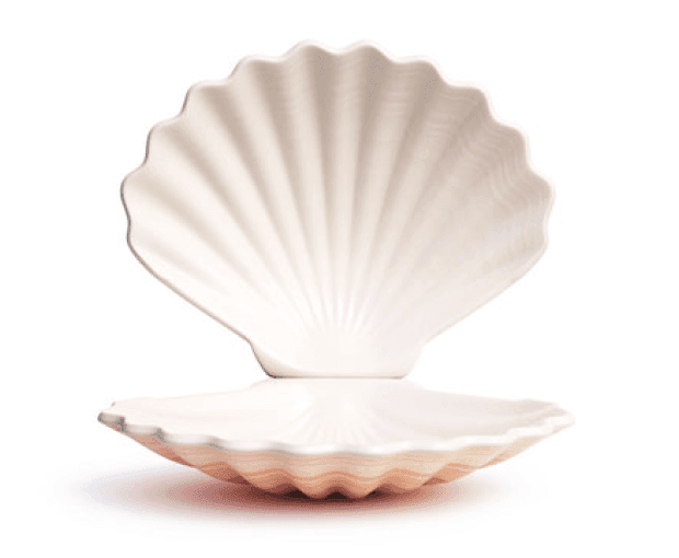 Sea shell